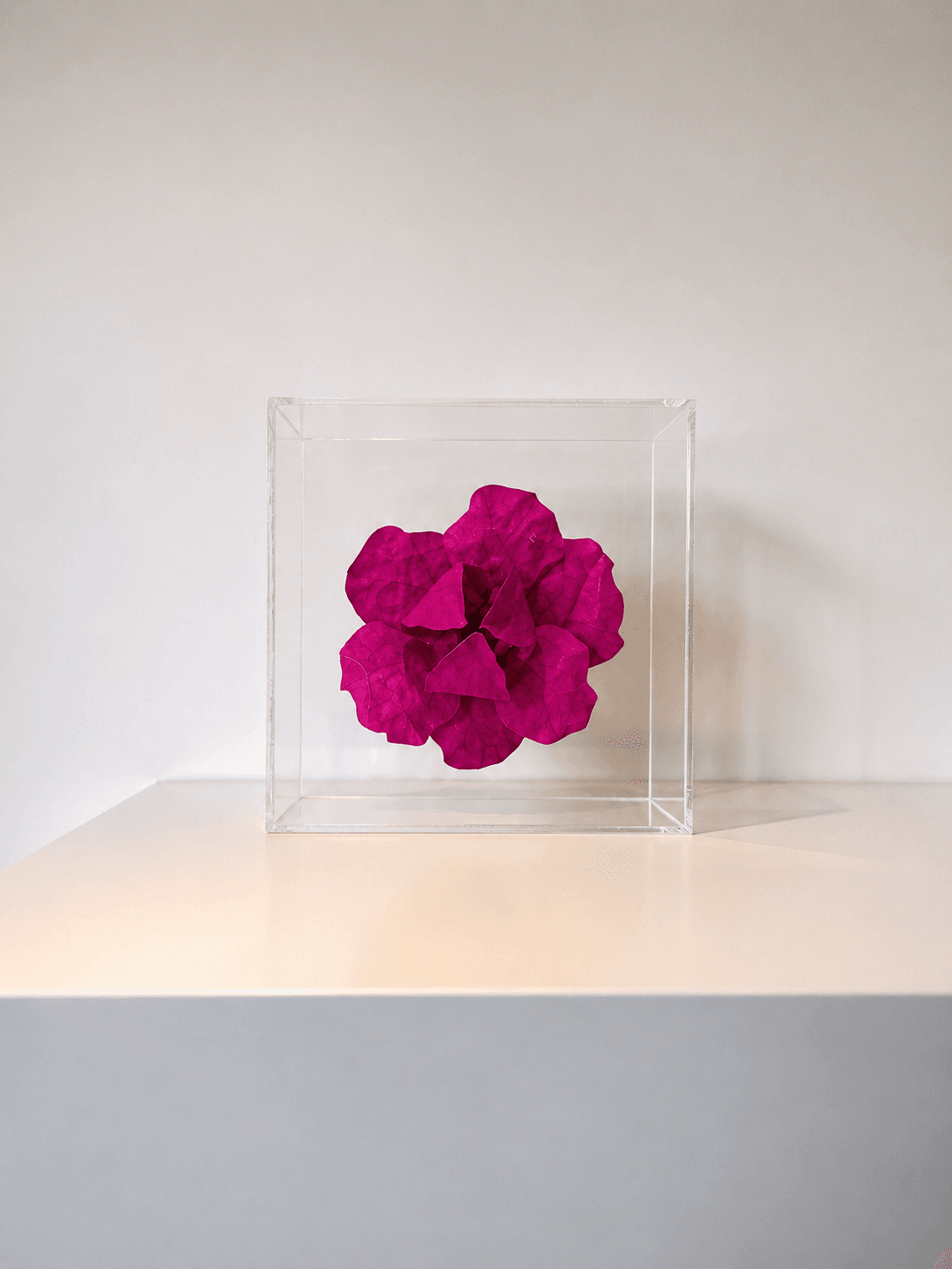 Quadro em acrílico com estampa floral em tom rosa